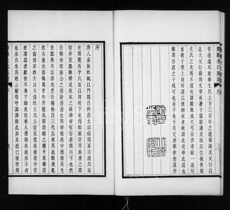 山东生氏-滕县生氏族谱 [4卷,首1卷](别名：生氏族谱).pdf电子版插图5