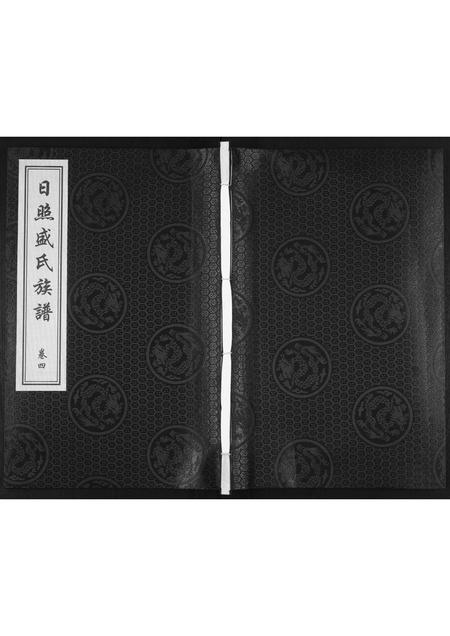 山东盛氏-日照盛氏族谱[4卷首1卷].pdf电子版插图