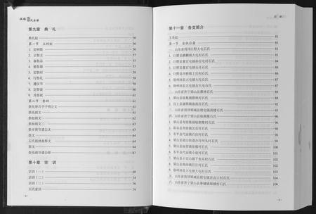 山东石氏-徂来石氏宗谱.pdf电子版插图4