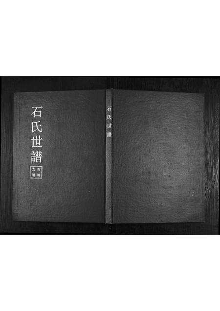 山东石氏-石氏宗谱.pdf电子版插图