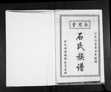 山东石氏-石氏族谱.pdf电子版插图2