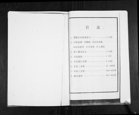 山东石氏-石氏族谱.pdf电子版插图4