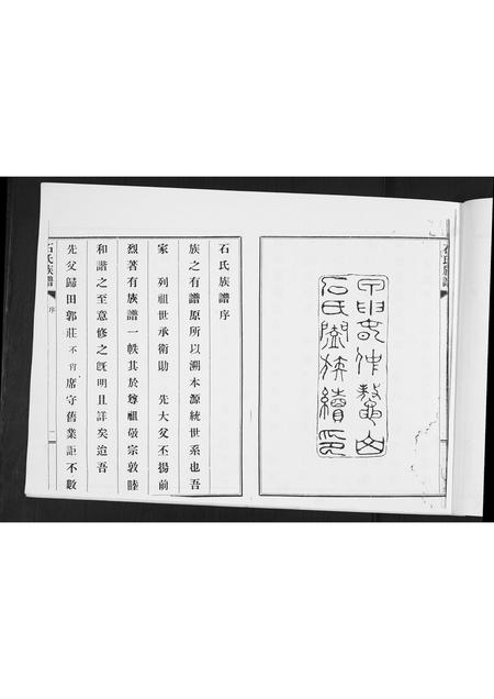 山东石氏-石氏族谱.pdf电子版插图3