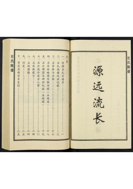 山东石氏-石氏族谱.pdf电子版插图2