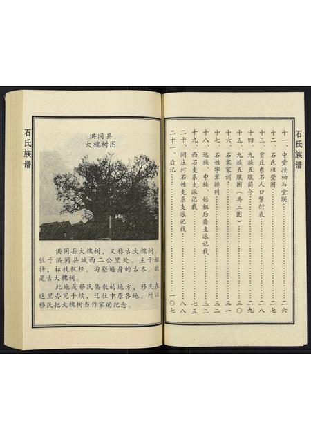 山东石氏-石氏族谱.pdf电子版插图3