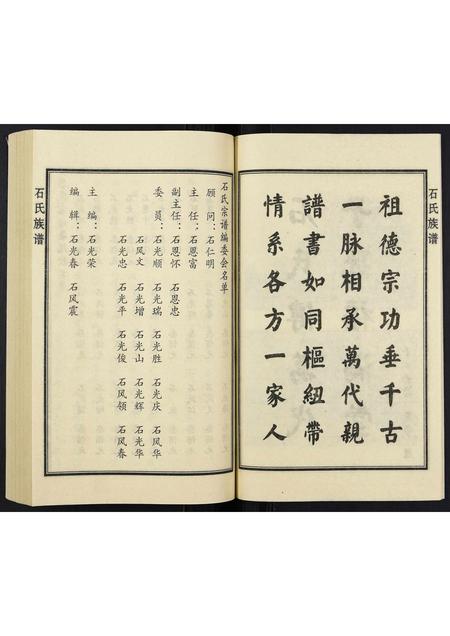 山东石氏-石氏族谱.pdf电子版插图5