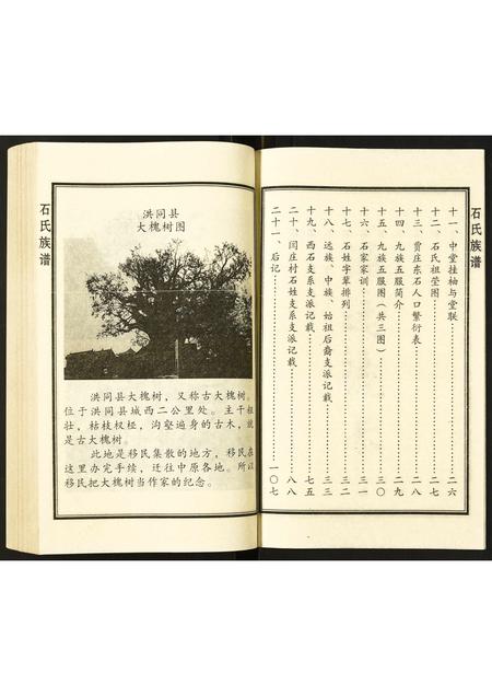 山东石氏-石氏族谱.pdf电子版插图3