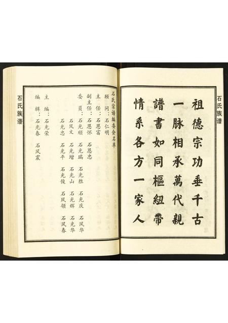 山东石氏-石氏族谱.pdf电子版插图5