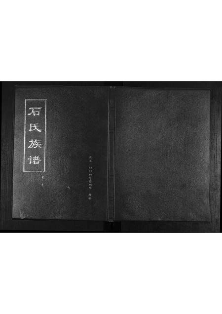 山东石氏-石氏族谱[2卷].pdf电子版插图