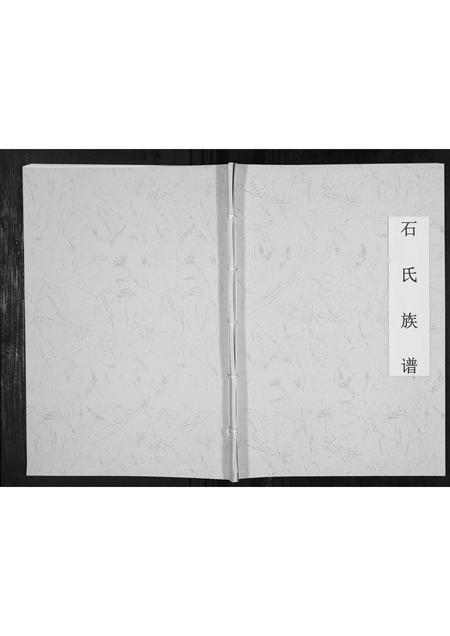 山东石氏-石氏族谱[不分卷].pdf电子版插图