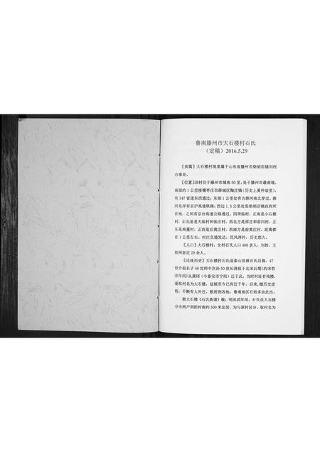山东石氏-石氏族谱[不分卷].pdf电子版插图1
