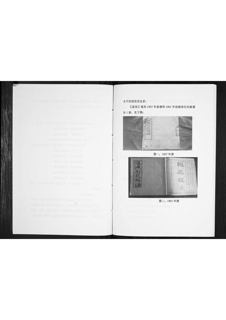 山东石氏-石氏族谱[不分卷].pdf电子版插图3