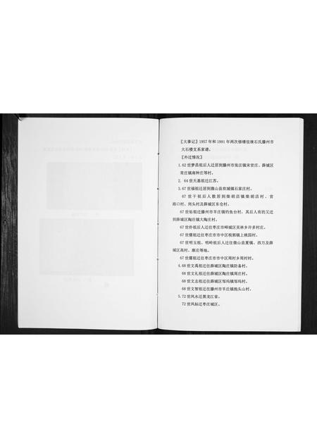 山东石氏-石氏族谱[不分卷].pdf电子版插图4