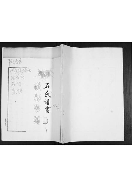 山东石氏-石氏谱书.pdf电子版插图
