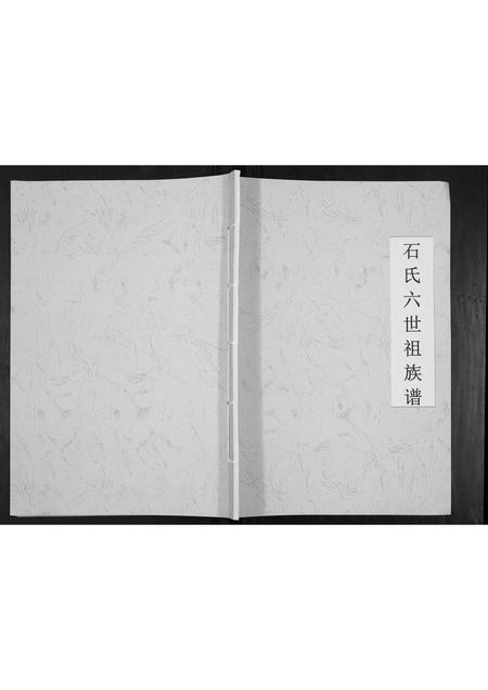 广西石氏-石氏六世祖族谱[不分卷].pdf电子版插图