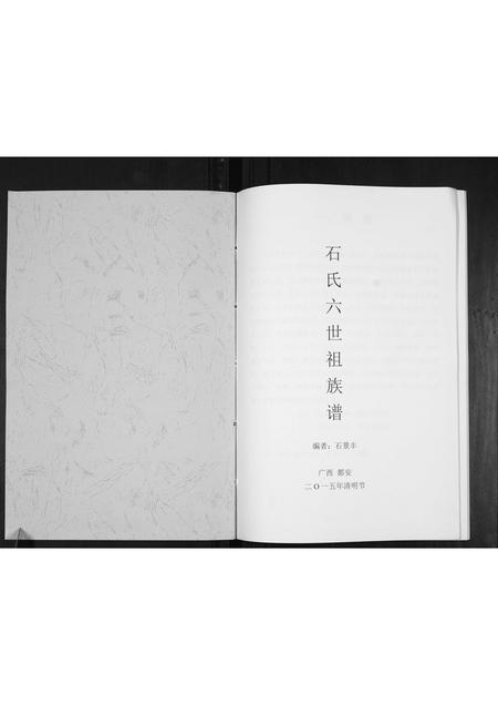 广西石氏-石氏六世祖族谱[不分卷].pdf电子版插图1