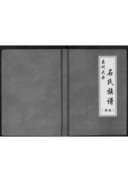 广西石氏-象州大井石氏族谱续编.pdf电子版插图