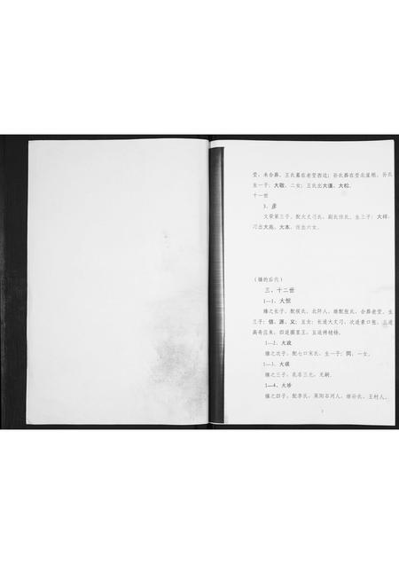 吉林时氏-时氏族谱[不分卷].pdf电子版插图2