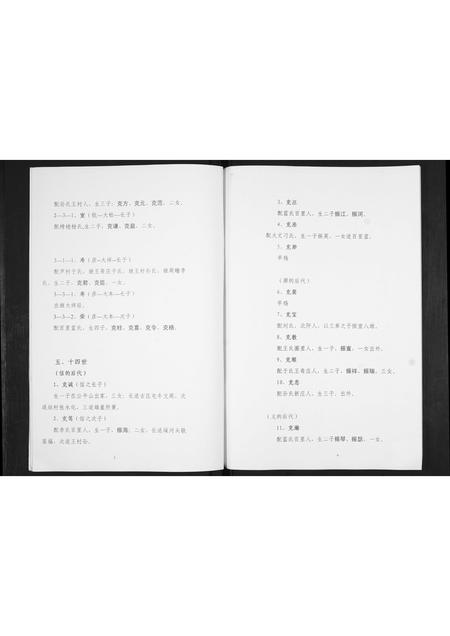 吉林时氏-时氏族谱[不分卷].pdf电子版插图4