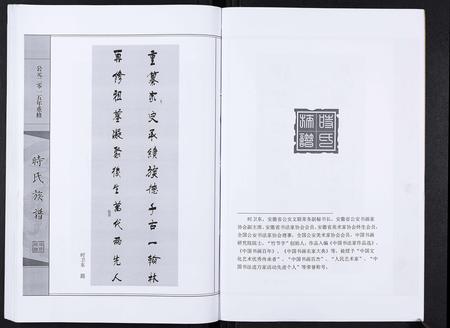 山东时氏-时氏族谱[3卷].pdf电子版插图4