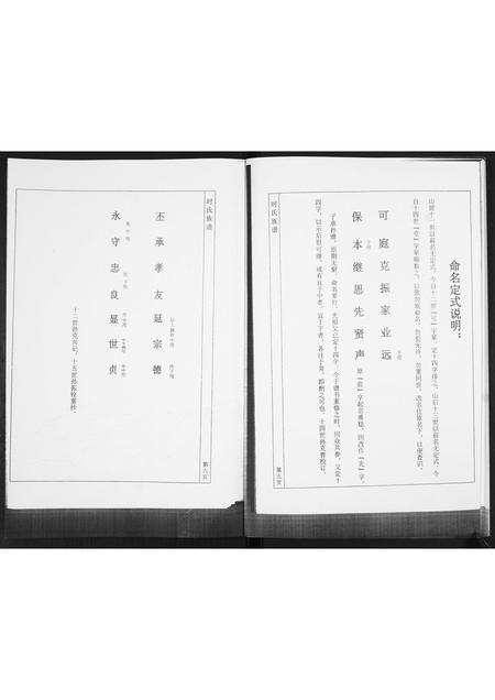 山东时氏-丰城庄子时氏谱书[不分卷].pdf电子版插图5