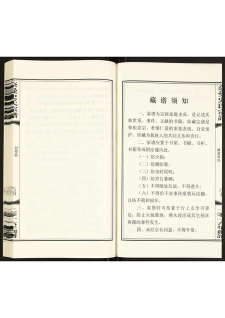 内蒙史氏-奈曼史氏宗谱.pdf电子版插图2