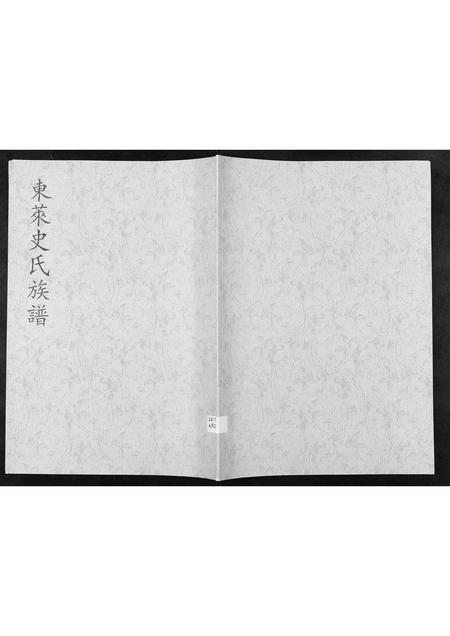 山东史氏-东莱史氏族谱[不分卷].pdf电子版插图