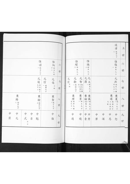 山东司氏-司氏族谱.pdf电子版插图3
