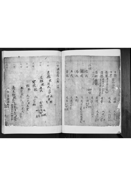 山东宋氏-宋氏支谱.pdf电子版插图5