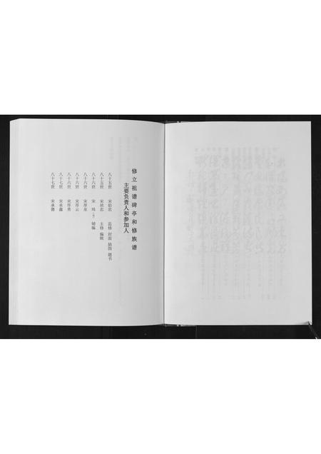 山东宋氏-宋氏族谱.pdf电子版插图4
