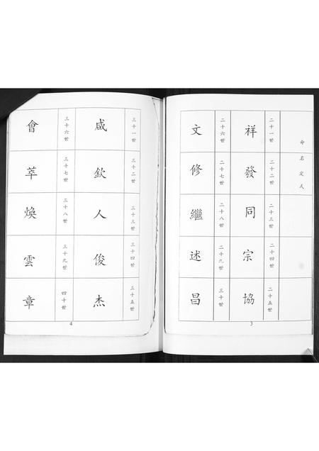 山东宋氏-宋氏族谱[不分卷].pdf电子版插图2