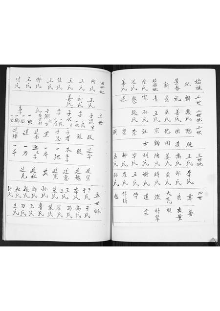 山东宋氏-宋氏族谱[不分卷].pdf电子版插图2