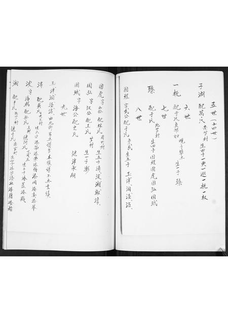 山东宋氏-宋氏族谱[不分卷].pdf电子版插图3