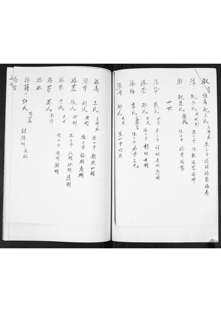 山东宋氏-宋氏族谱[不分卷].pdf电子版插图4