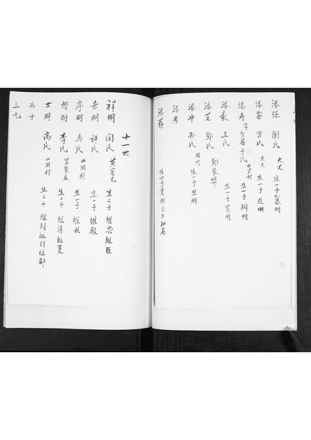 山东宋氏-宋氏族谱[不分卷].pdf电子版插图5