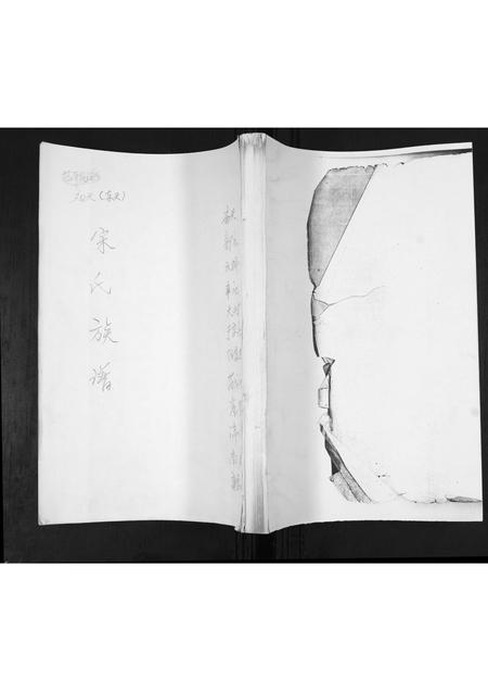 山东宋氏-宋氏族谱[不分卷].pdf电子版插图