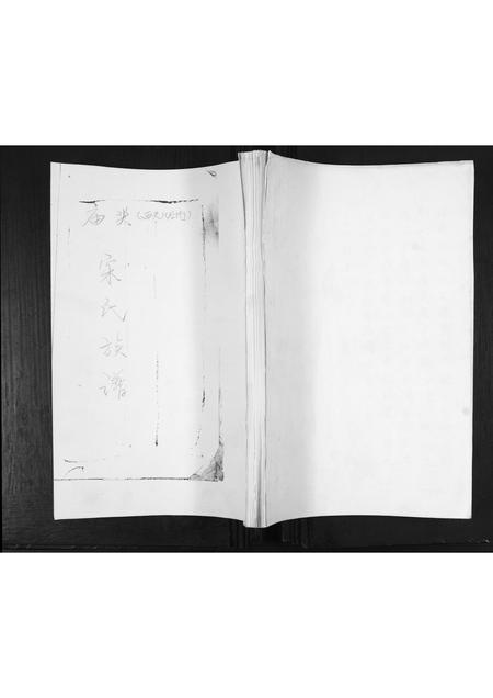 山东宋氏-宋氏族谱[不分卷].pdf电子版插图