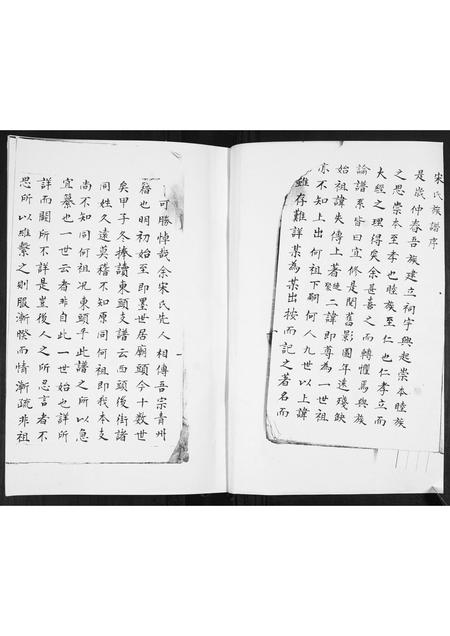山东宋氏-宋氏族谱[不分卷].pdf电子版插图1