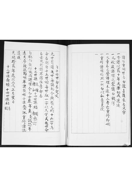 山东宋氏-宋氏族谱[不分卷].pdf电子版插图3
