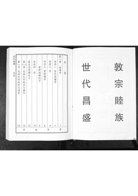 山东宋氏-宋氏行素堂族谱[4章].pdf电子版插图5