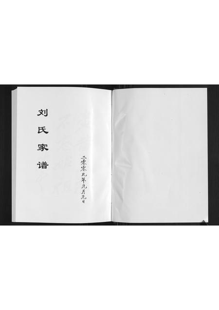 山东宋氏-莒县大张宋氏家谱.pdf电子版插图1