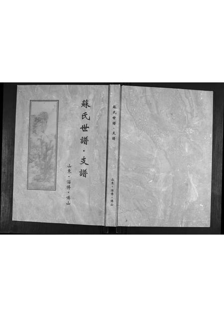山东苏氏-苏氏世谱.支谱.pdf电子版插图