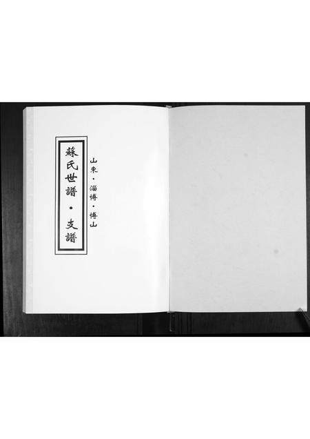 山东苏氏-苏氏世谱.支谱.pdf电子版插图1