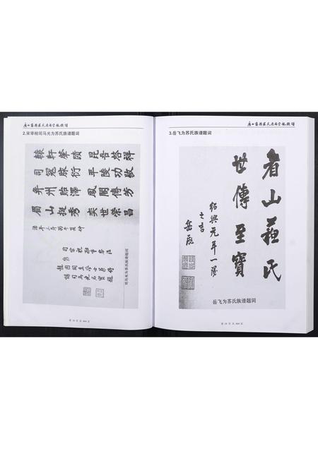 广西苏氏-广西藤县苏氏原端宗亲族谱.pdf电子版插图1