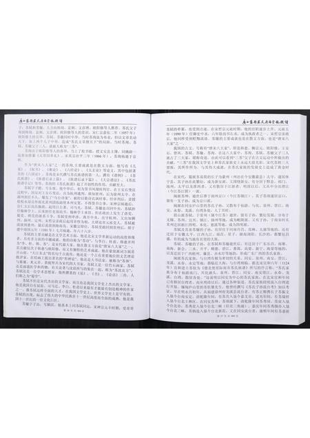 广西苏氏-广西藤县苏氏原端宗亲族谱.pdf电子版插图5