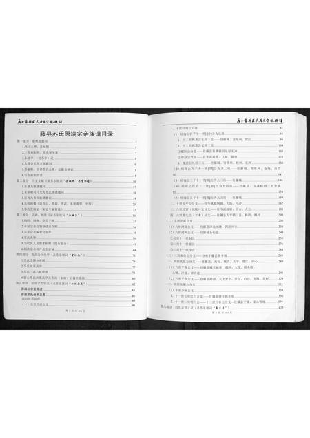 广西苏氏-广西藤县苏氏原端宗亲族谱.pdf电子版插图2