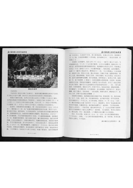 广西苏氏-广西藤县苏氏原端宗亲族谱.pdf电子版插图5