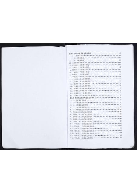 内蒙隋氏-隋氏家谱.pdf电子版插图4