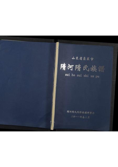山东隋氏-山东省枣庄市隋河隋氏族谱 [全1册](别名：隋河隋氏族谱).pdf电子版