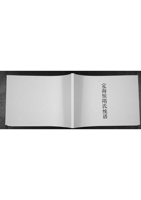 山东隋氏-定海侯隋氏统谱[不分卷].pdf电子版